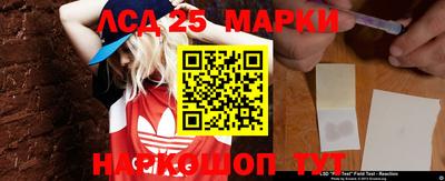 СК Новозыбков