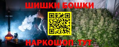 дмт Новокубанск