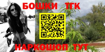 СК Новозыбков