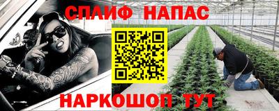 СК Новозыбков