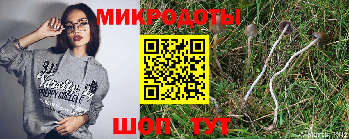 Трёхгорный  Псилоцибиновые грибы GOLDEN TEACHER  Вход с VPN 
